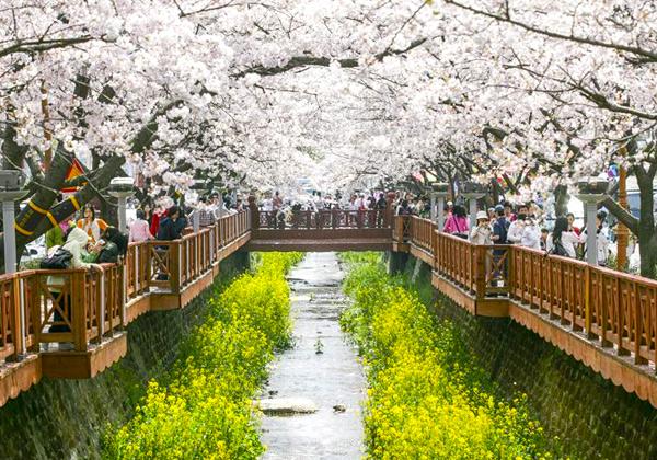 óκ̾ȤΤƤ;ʥ襸ˡפϡMBCɥޡإޥ󥹡٤óפʪˤä褿2ͤμ͸ƽвäǡɥޤ֥̾ޥ󥹶פȸƤФ褦ˤʤѸ̾Ȥƿ͵޾徺ޤ4ˤʤóγΤޤꡢä;κΥȥͥϺǹκ̾ȤƤޤ