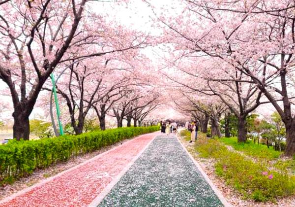 �Գ����սհ��� �����������٥��ȥ��ݥåȤȥ���ӳ�����ʢ�� 3����