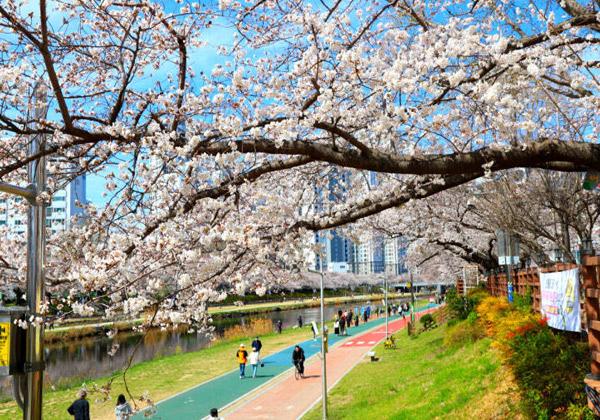 ���������餫�鳤����Υ��󥿥ॷ�ƥ����˸�����ή��Ƥ���Τ�������ʥ�����������ˡ�������褤��ξ¦�˥��������󥰥������䥵������󥰥������ʤɤ����ꡢī�դ�������λ�̱�����臘�Ƥ��ξ��Ȥ��Ƴ����οͤ˿Ƥ��ޤ�Ƥ��ޤ����դˤϳ������絬�ϤȤ����Ƥ�������ڤ��餭��졢�ȤƤ����������ʤ��������������ޤ����ޤ�����ޯ��ʥ��ե��̤�Ȥ��Ƥ�Ƕ�͵����ФƤ��Ƥ������ܤΥ��ݥåȤǤ���