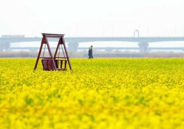 »°³Ú¥¨¥³¥Ñ¡¼¥¯¤Ïº»¾å¶è»°³Úƶ¤ÎÍìÅì¹¾Êդ˰ÌÃÖ¤¹¤ë»Ô̱¸ø±à¤Ç¤¹¡£Ëèǯ½Õ¤Ë¤Ê¤ë¤È¡¢ÍìÅì¹¾¤ò¶´¤ó¤Ç¹¤¬¤ëºù¤Î¥È¥ó¥Í¥ë¤ÈºÚ¤Î²ÖȪ¤òƱ»þ¤Ë³Ú¤·¤á¤ë¾ì½ê¤È¤·¤ÆÍ̾¤Ç¤¹¡£4·î¾å½Ü¤Ë¤Ï¡Ö»°³ÚºÚ¤Î²Öº×¤ê¡×¤¬³«¤«¤ì¡¢³ø»³¤Ï¤â¤Á¤í¤óÁ´¹ñ¤«¤é¹Ô³ÚµÒ¤¬½¸¤Þ¤ê¤Þ¤¹¡£º×¤ê¤Î¥·¡¼¥º¥ó¤Ë¤Ê¤ë¤È¤¢¤Á¤³¤Á¤Ë¥Õ¥©¥È¥¾¡¼¥ó¤¬Àߤ±¤é¤ì¡¢ÍÍ¡¹¤Ê¥¹¥È¥ê¡¼¥È¥Ñ¥Õ¥©¡¼¥Þ¥ó¥¹¤Ê¤É¤¬¹Ô¤ï¤ì¤Þ¤¹¡£