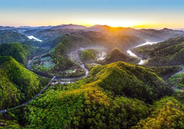 �ԥե��ȡ����������������仺 �׵�����������Τ���С����ٻ�