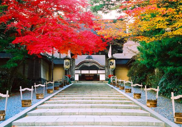 【高野山と比叡山の紅葉】日本仏教の二大聖地を一挙探訪！それぞれに美しい秋の景観を満喫！