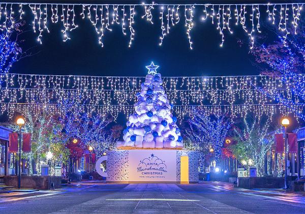 ڥ꥿ȥޥΥꥹޥۥޥޥXmasȥɥXmasξʡ뿩̣