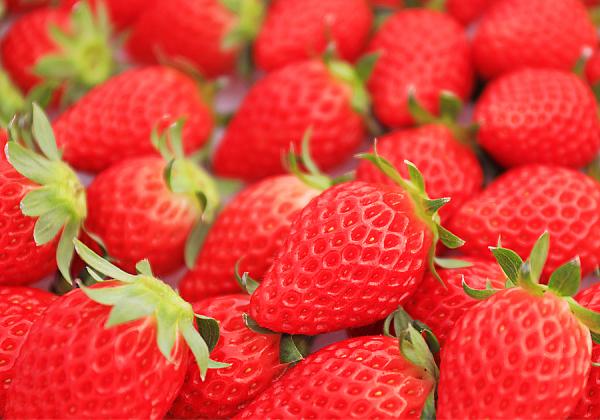 �ڥ������Ȳ֤ȥ�������SAGA��ι�۴š���������ι�ǰ�­�ᤤ�դ�ˬ�졪��̣�֤���ڻ��ա�