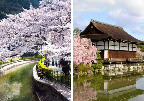 �ڵ��Ժ������۸��Ԥ����ֲڤ䤰���ᡪ���٤ϸ��Ƥ����������Ԥβָ����ݥåȤ����ꤹ���ꡪ