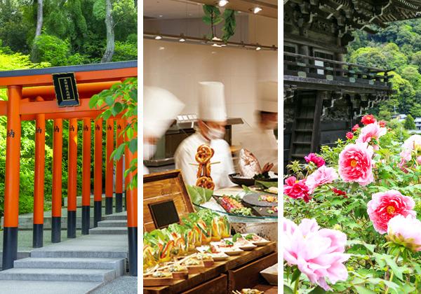 �����Ŀ��Ҥ�Ĺë���β�ð�ۺ��ե��꡼�����߱��ԺƳ���ǰ��7000���β�ð���餯Ĺë���ء�