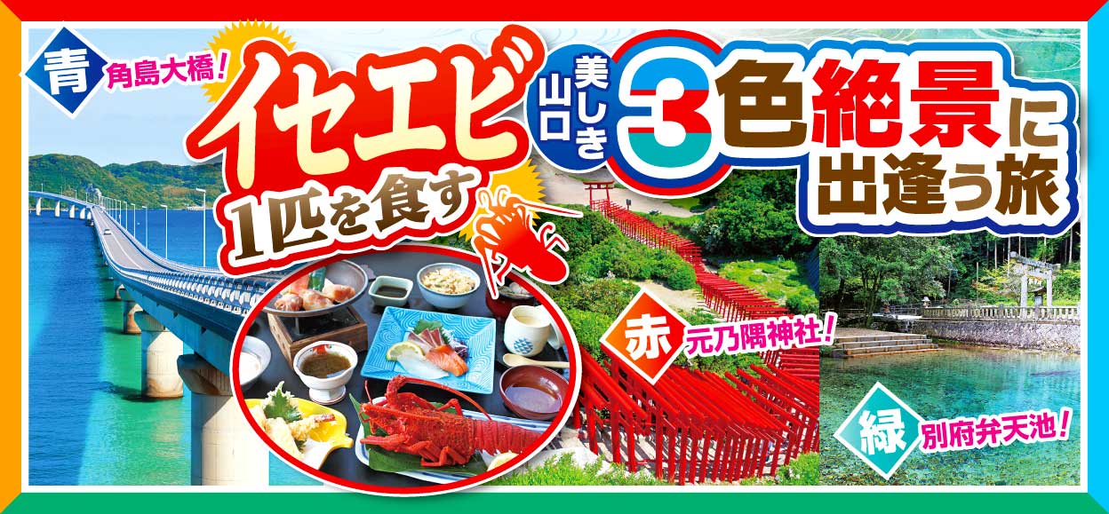 バスツアー 日帰り 宿泊旅行 旅行会社 第一観光 バスツアー 日帰り 宿泊旅行 旅行会社 第一観光