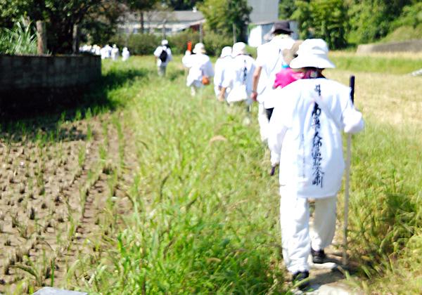 お遍路の旅 検索結果 旅行会社 第一観光 お遍路の旅 検索結果 旅行会社 第一観光