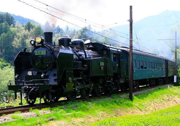 絶景の大井川鐡道slと久能山東照宮と三保の松原 お遍路の旅 旅行会社 第一観光 絶景の大井川鐡道slと久能山東照宮と三保の松原 お遍路の旅 旅行会社 第一観光