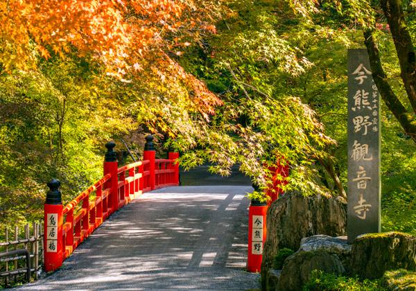 [25ǯȯ] 軰 ۻѲ⤭顦ե꡼ѡ