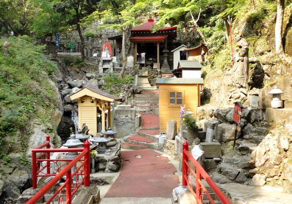 [25ǯȯ] 軰 ķȬȬХϩ