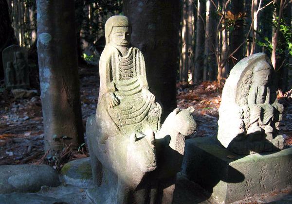 [25ǯȯ] 軰 ƻϩ롼ȡ⤭顦ե꡼ѡ