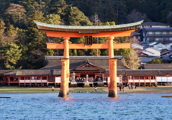 [25ǯȯ] 軰 ѲᤰХ顦ѡ