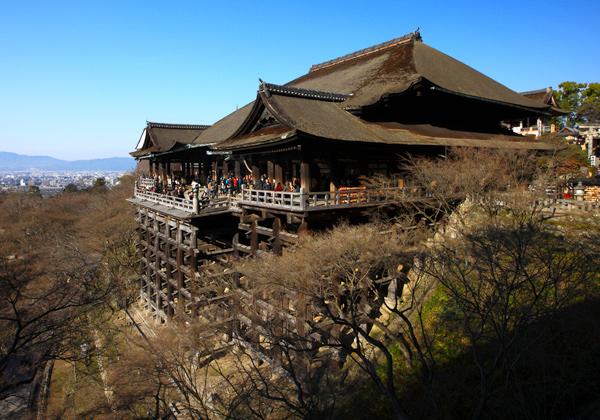 [25ǯȯ] Ͳ ۻѲ⤭顦ե꡼ѡ