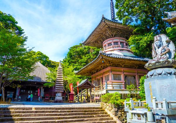 [25ǯȯ] Ͳ ͹ȬȬХϩե꡼ѡ