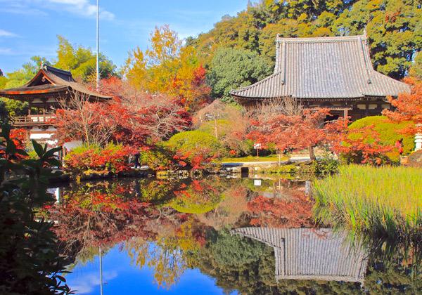 [25ǯȯ]  ½ʩޤХϩե꡼ѡ