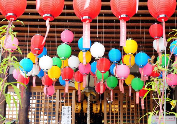 [25ǯȯ] 軰 ½ʩޤХϩե꡼ѡ