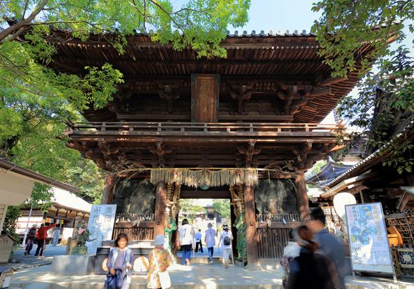 [24ǯȯ] 载ϻ ͹ȬȬ⤭ϩե꡼ѡ