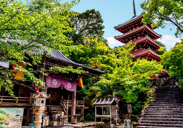 [25ǯȯ] ޲ ͹ȬȬХϩե꡼ѡ