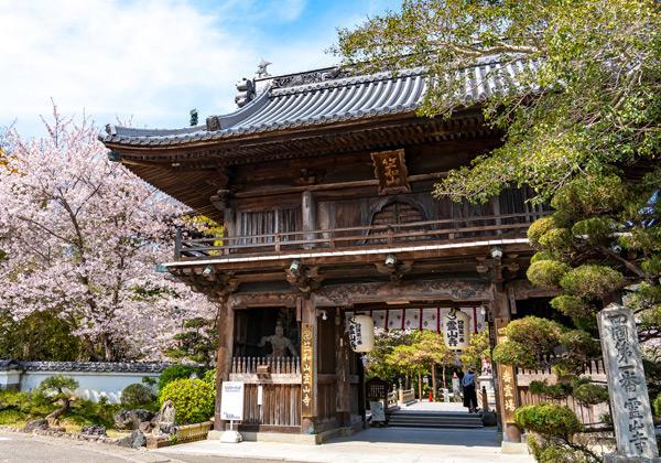 [26ǯ��ȯ] ���� ���Ȥι� �͹�Ȭ��Ȭ�������񻲤��Х���ϩ�����������ѡ�