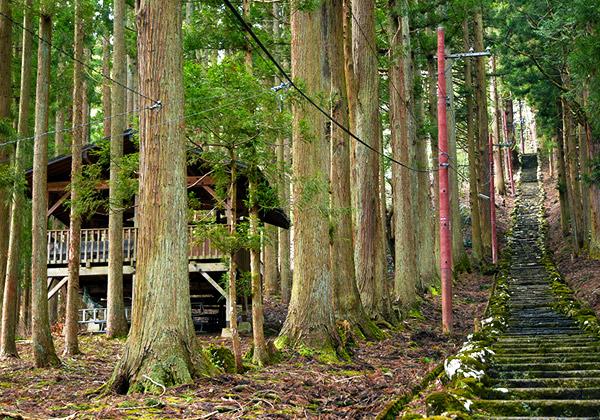 [26ǯ��ȯ] ����Ⱦ���ŷڻ������Ѳ�����Х����顦���Ե����ѡ�