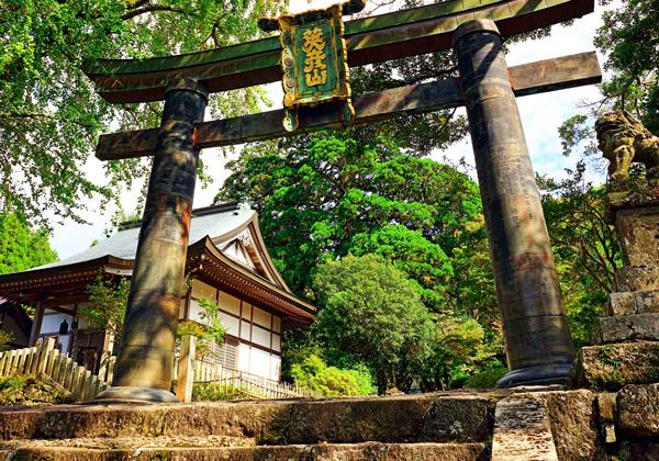 [26ǯ��ȯ] ���� �彣���񻰽����Ѳ�����Х���ϩ��