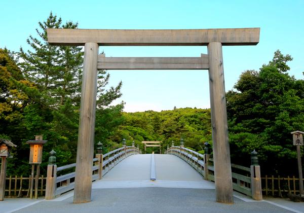 [26ǯ��ȯ] ���� �����ƻ����ϩ���⤭���顦�ե��꡼���ѡ�