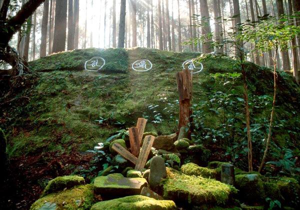 [26ǯ��ȯ] �����ƻ �����ۡ��⤭���顦�ե��꡼���ѡ�