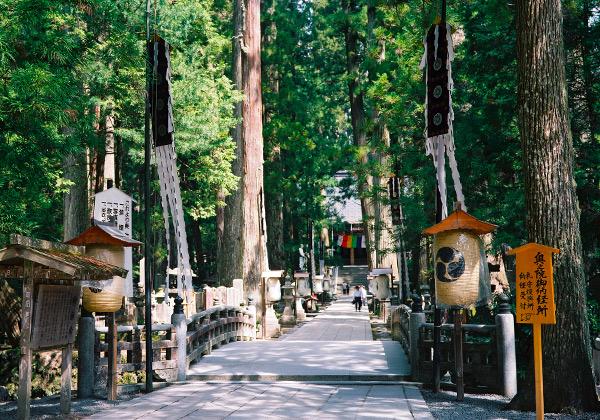 ������黲������ ����ˡ��դ椫����ϡ�