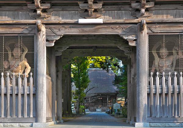 [25ǯ��ȯ] �载�� �͹�Ȭ��Ȭ������⤭��ϩ���ե��꡼���ѡ�