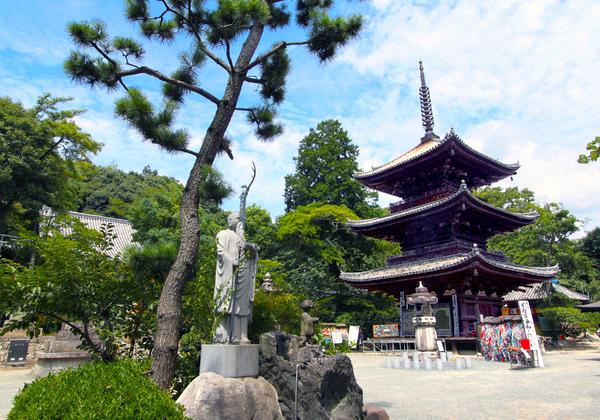 ��6��&nbsp;[25ǯ��ȯ] ��ϻ�� �͹�Ȭ��Ȭ�����Х���ϩ���ե��꡼���ѡ�[ʡ��ȯ]