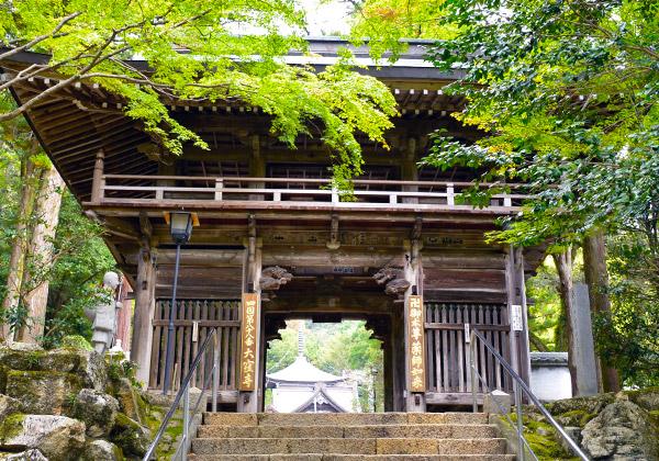 [26ǯ���ȯ] ��Ͳ� �����ι� �͹�Ȭ��Ȭ�������񻲤��Х���ϩ�����������ѡ�