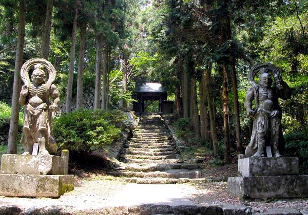 [26ǯ��ȯ] ����� �彣���񻰽����Ѳ�����Х���ϩ��