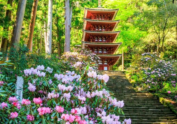 [26ǯ��ȯ] ����� ����ͽ�����������Х���ϩ���ե��꡼���ѡ�