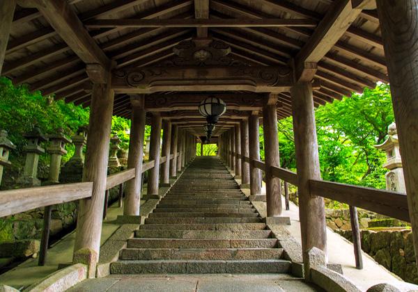 [26ǯ��ȯ] ��޲� ���񻰽�����Ѳ���Х���ϩ���ե��꡼���ѡ�