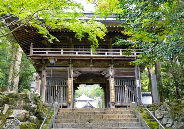 [25ǯ��ȯ] ���� �͹�Ȭ��Ȭ�����Х���ϩ���ե��꡼���ѡ�