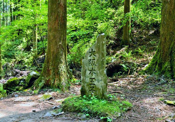 [26ǯ��ȯ] ����� �����ƻ����ϩ�롼�ȡ��⤭���顦�ե��꡼���ѡ�