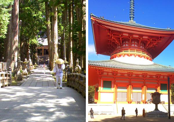 こうや花鉄道 天空 で行く たっぷり高野山めぐり バスツアー 旅行会社 第一観光