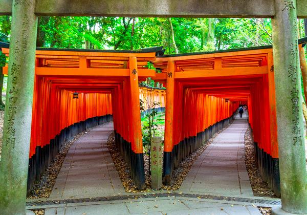 京都の紅葉 清水参道散策と朱塗りの千本鳥居 伏見稲荷大社 バスツアー 旅行会社 第一観光