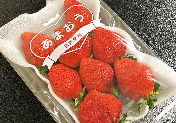 ڤޤ1ѥåڻ♬ιΤ 紶պ in 