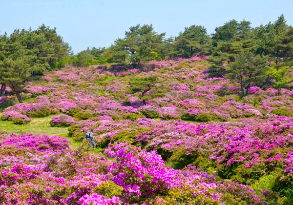 ߥޥꥷޤɥĥĥ⸫ޤ롪