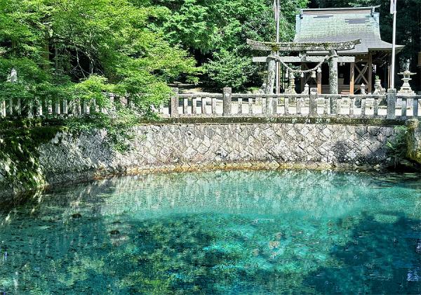 ¿ÀÈëŪ¤Ê¥¨¥á¥é¥ë¥É¥Ö¥ë¡¼¤Î̾¿å¤¬Í¯¤¯ÀôŽ¢ÊÌÉÜÊÛÅ·ÃÓŽ£¤ÎÈʤËÐÊ¤àŽ¢ÊÌÉܸ·Åç¿À¼ÒŽ£¤Ø½é·Ø♬¡Ê¢¨¥¤¥á¡¼¥¸¡Ë