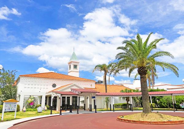 ʡ϶ȯۤΤ⤶ε֤ȥɤʤ˲εȿˬҽ