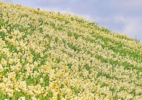 Ĺ긩ͣδĶʎ100ꤵƤǴšޤƿѾޢʢ᡼ / ̿:Ĺ긩ѸϢ