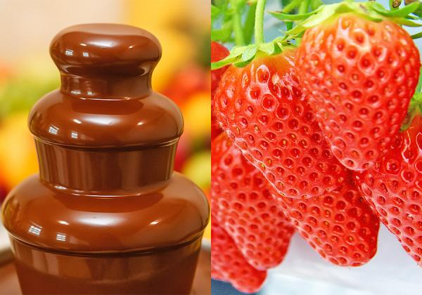 1ܤή祳졼Ȥ3Υե롼Ĥƿ♬ 2ܤϾ¤ʥϥǥ⿩♬ʢ祳եǥȥΥ᡼