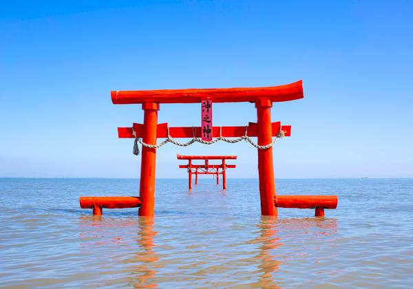 ¿ÀÈëŪ¤Ê¸÷·Ê¤Ë»×¤ï¤º¸«¤È¤ì¤ë³¤ÃæÄ»µï¤Î´Ñ¾Þ¤â¡ª