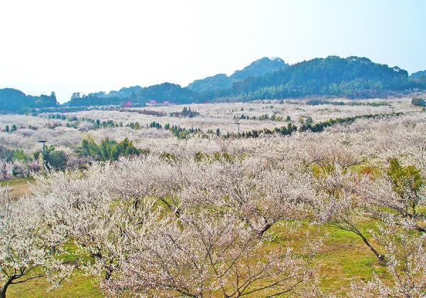 Ȥˤ ˹碌ƎΤߤޤĤꎣⳫŤ밵Ūƣ߱Ǥδߤ♫ʢ᡼