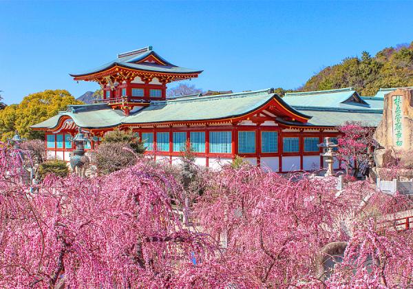 ŷܤǤϰǯǰȸ뤷ߤзޤ ֻ˹碌ǯߤޤĤ꤬Ťޤ♫ʢ᡼