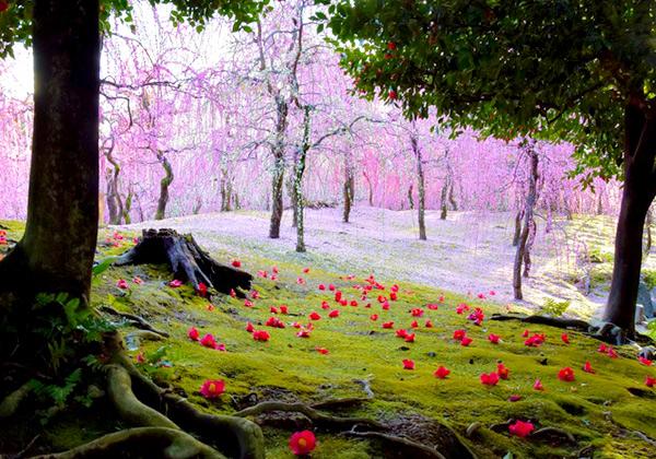 ¤˹ֽդλפǤϡ150ܤΤߤ٤˿β֤դˬ𤲤ޤ礨СɤߤءɤηʿڤळȤޤΤߤФݤξȤؤʤʤޤǤΥȥ饹ȤϾܤʤȤΤƤޤʲ󶡡ܡ