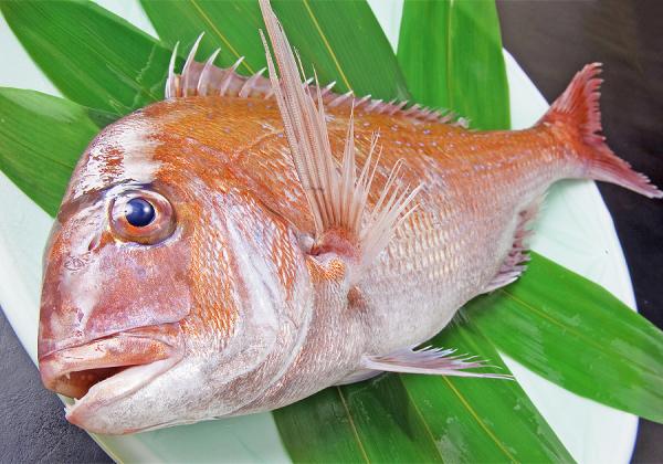 Ѥοvs ̣Ф±ȱɲڤؤäšƻ3ĤΤߤᤰ